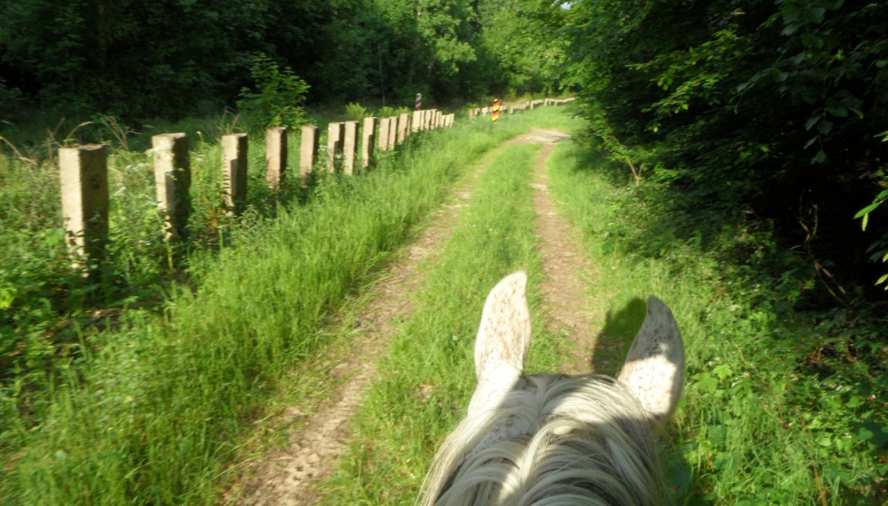 Reiten an der Grenze, &copy; von Eick