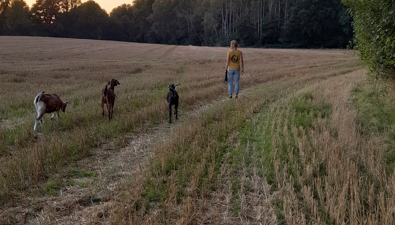 Onze kleine Burderei, © Andrea Hauser Onze kleine Burderei, © Andrea Hauser