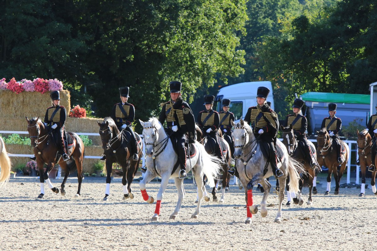 Pferdetage Landgest&uuml;t Redefin, &copy; Sven F&ouml;rst
