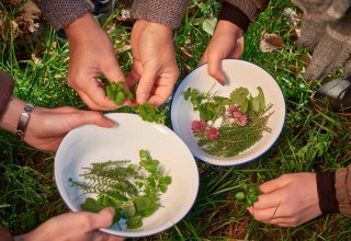 © MV-T/Pocha.de © MV-T/Pocha.de