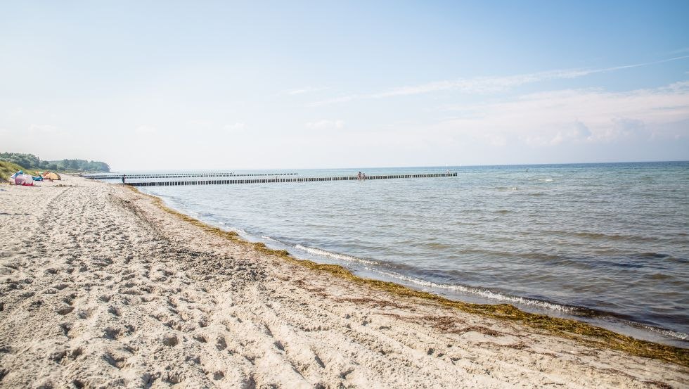 Ideale Surf- und Kitebedingungen auf der Insel Poel // &copy; Liene Photografie Nadine Sorgenfried