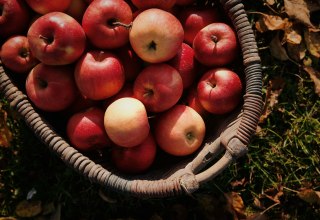 Äpfel im Korb // © Julia Kicova auf Unsplash Äpfel im Korb // © Julia Kicova auf Unsplash
