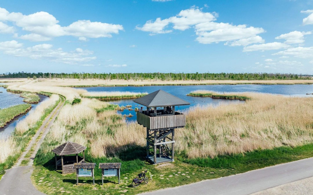 Aussichtsturm Bugewitz mit Blick auf den Anklamer Stadtbruch // &copy; TMV/G&auml;nsicke