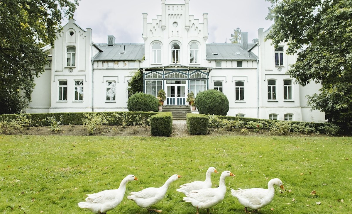 G&auml;nse im Park von Schloss Kaeselow, &copy; vollvincent