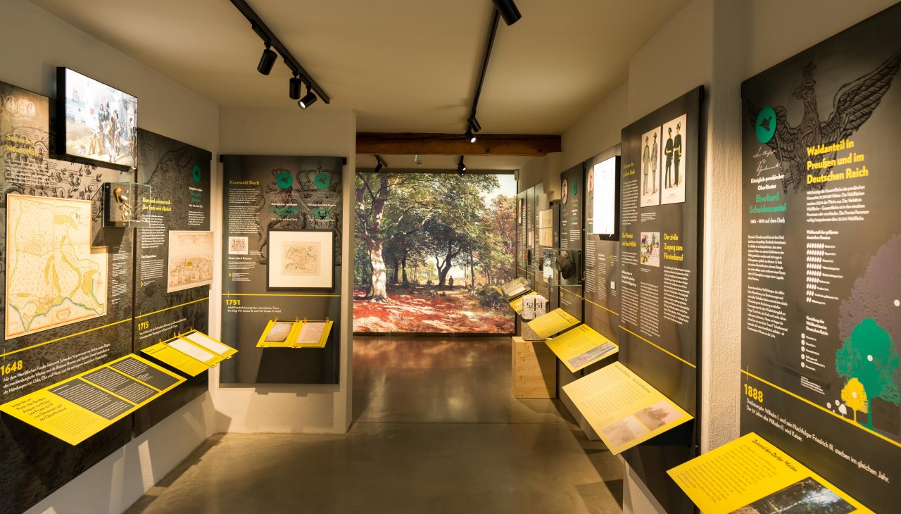 MUSEUM Alte Oberförsterei Born, © Moritz Kertzscher MUSEUM Alte Oberförsterei Born, © Moritz Kertzscher