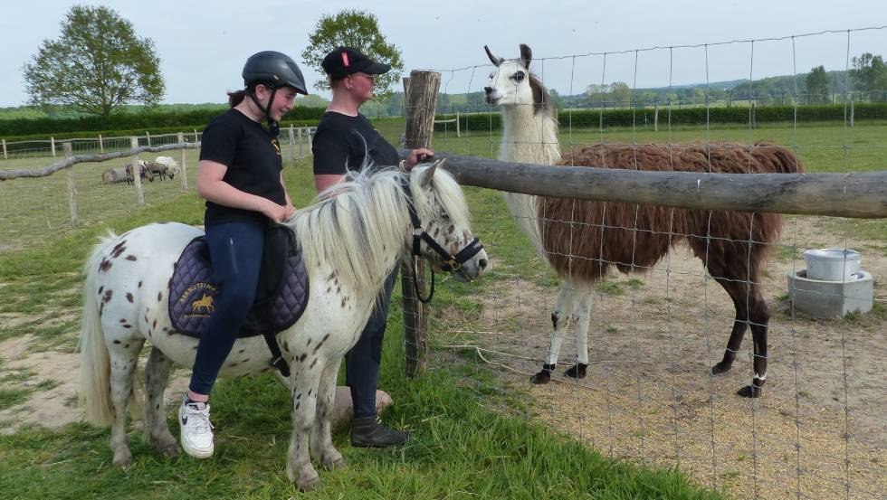 Streichelzoo auf der Galopprennbahn in Bad Doberan, &copy; Bernsteinreiter