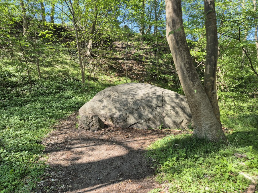 Findling in Klink, © Gina Schulenberg Findling in Klink, © Gina Schulenberg