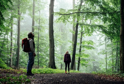 Ein Mann und eine Frau stehen in einem Wald und gucken zu den Baumwipfeln hoch