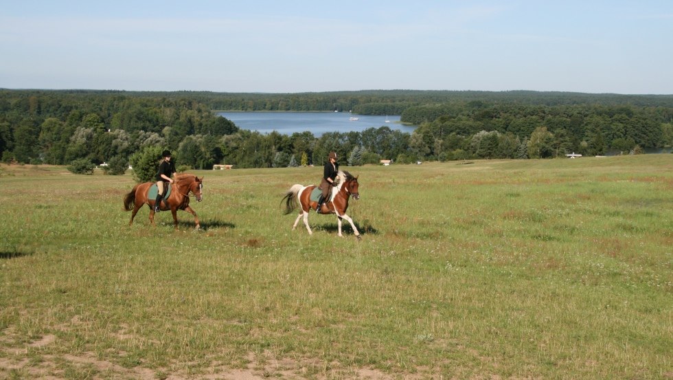 Tolle Sicht beim Ritt am höchsten Punkt Lychens., © Reit- und Fahrtourstik Lychen Tolle Sicht beim Ritt am höchsten Punkt Lychens., © Reit- und Fahrtourstik Lychen