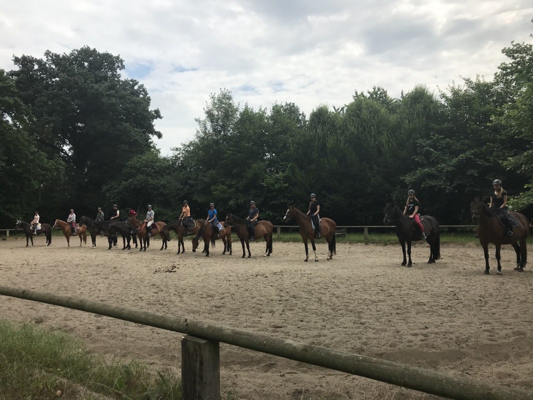 Formation bilden vor dem großen Ausritt nach Bömitz // © Karoline Görs Formation bilden vor dem großen Ausritt nach Bömitz // © Karoline Görs