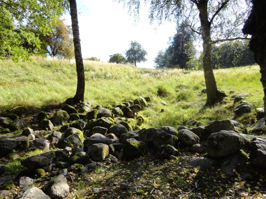 Ursprüngliche Landschaft auf dem Hullerbusch, © Tina von der Schmidt Ursprüngliche Landschaft auf dem Hullerbusch, © Tina von der Schmidt