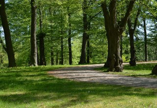 © Tourismusverband Mecklenburg-Schwerin © Tourismusverband Mecklenburg-Schwerin