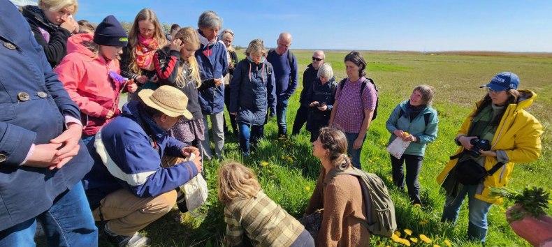 &copy; F&ouml;rderverein Nationalpark Boddenlandschaft