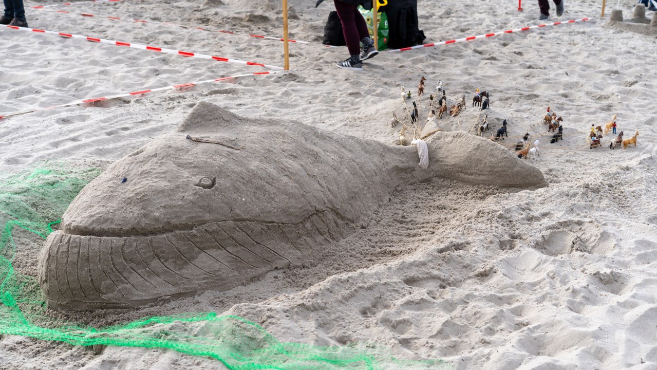 &copy; Kurverwaltung Insel Poel