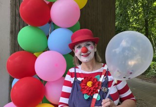 &copy; Clownin Viola 2025_CS.jpg