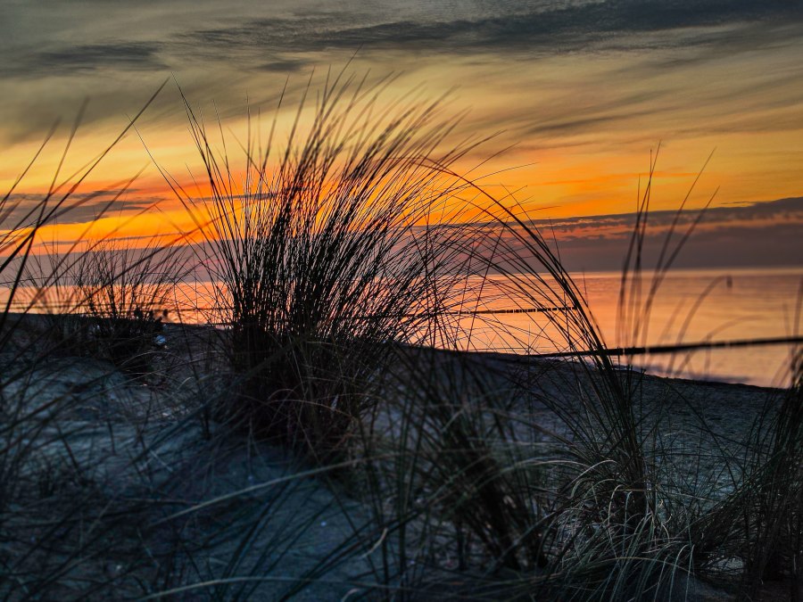 1734701897406, © ARS Photo + Consulting GmbH 1734701897406, © ARS Photo + Consulting GmbH