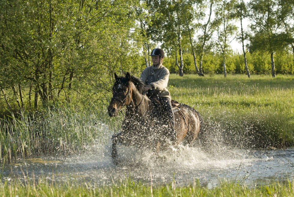 Auf ihrem Tagesritt durchreitet die Reiterin einen Teich entlang des Weges, © TMV/ Hafemann