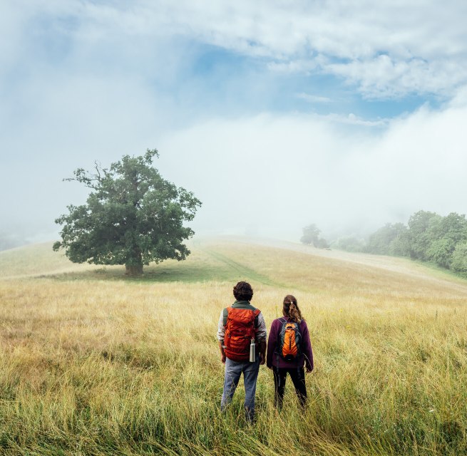 Wandern auf dem Naturparkweg durch die Landschaft der Mecklenburgischen Seenplatte beim R&ouml;telberg // &copy; MV-T/G&auml;nsicke