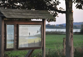 Info-Tafel am Nonnensee bei Bergen auf R&uuml;gen // &copy; Tourismuszentrale R&uuml;gen