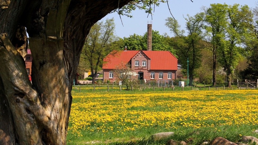 Het Gallin landgoed is een van de grootste biologische boerderijen in Duitsland // &copy; Gut Gallin / Rasim
