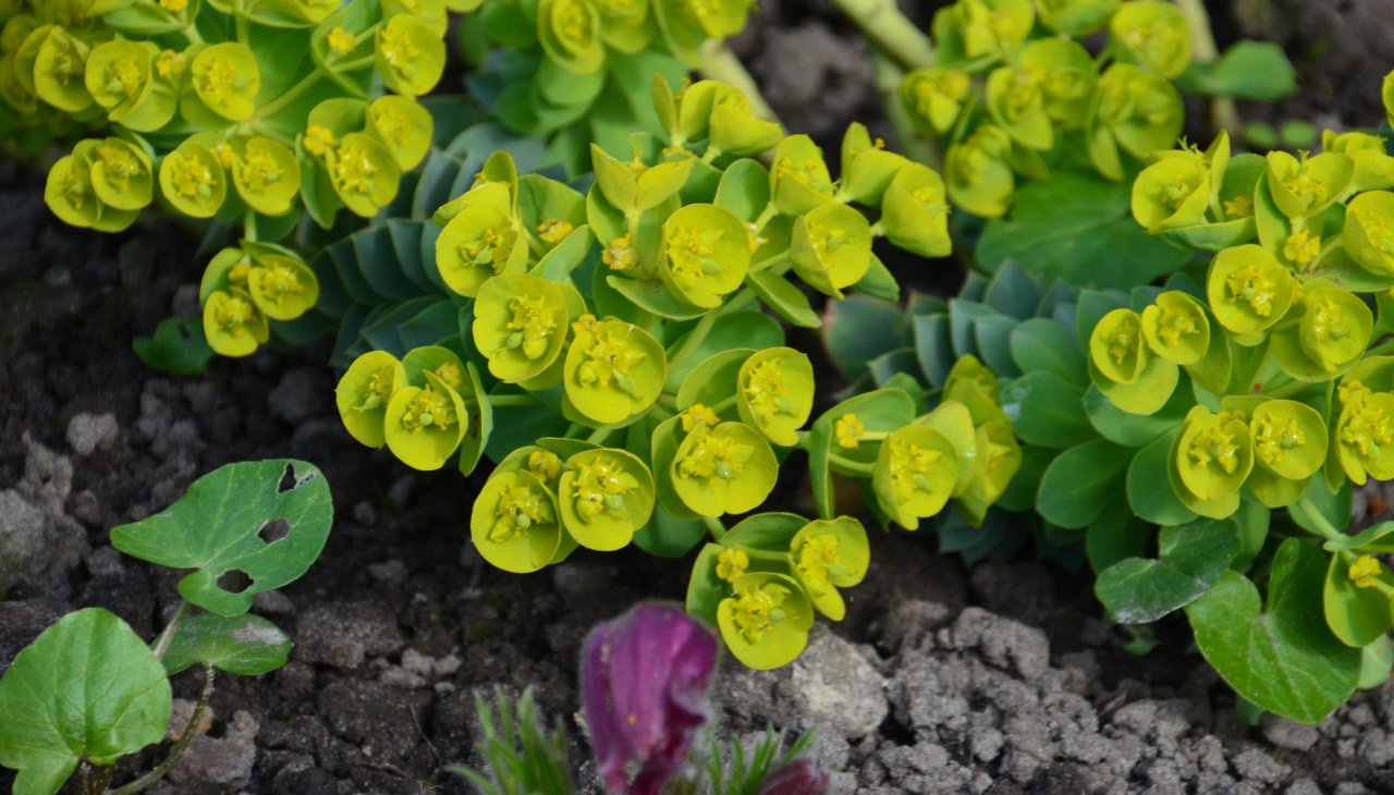 Natur entdecken, &copy; Tourismusverband Vorpommern e.V.