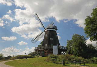 © TMV/Gohlke © TMV/Gohlke