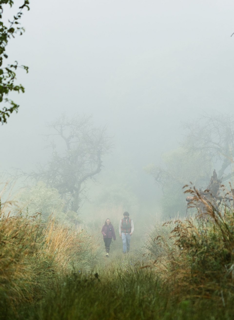 Ein Pärchen wandert an einem nebligen Morgen durch die wilde Naturlandschaft am Rötelberg in der Mecklenburgischen Schweiz. Die hohen Gräser und alten Bäume verleihen dem Pfad eine mystische Atmosphäre, die Ruhe und Abenteuer zugleich ausstrahlt. // © MV-T/Gänsicke Ein Pärchen wandert an einem nebligen Morgen durch die wilde Naturlandschaft am Rötelberg in der Mecklenburgischen Schweiz. Die hohen Gräser und alten Bäume verleihen dem Pfad eine mystische Atmosphäre, die Ruhe und Abenteuer zugleich ausstrahlt.