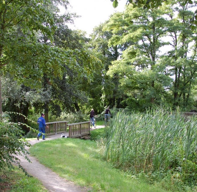Seit der Umgestaltung des Walls zur Gr&uuml;nanlage dient er der Erholung. // &copy; Gabriele Skorupski