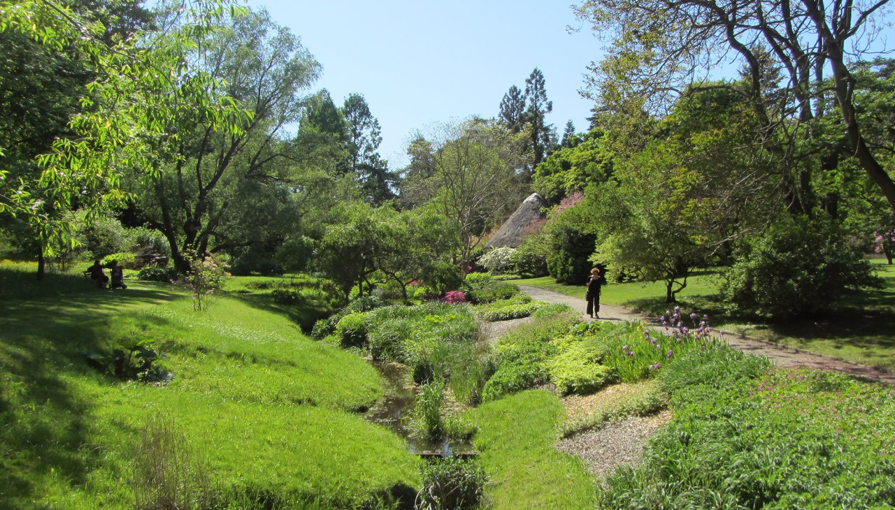 Botanischer Garten Rostock, © Joachim Kloock Botanischer Garten Rostock, © Joachim Kloock