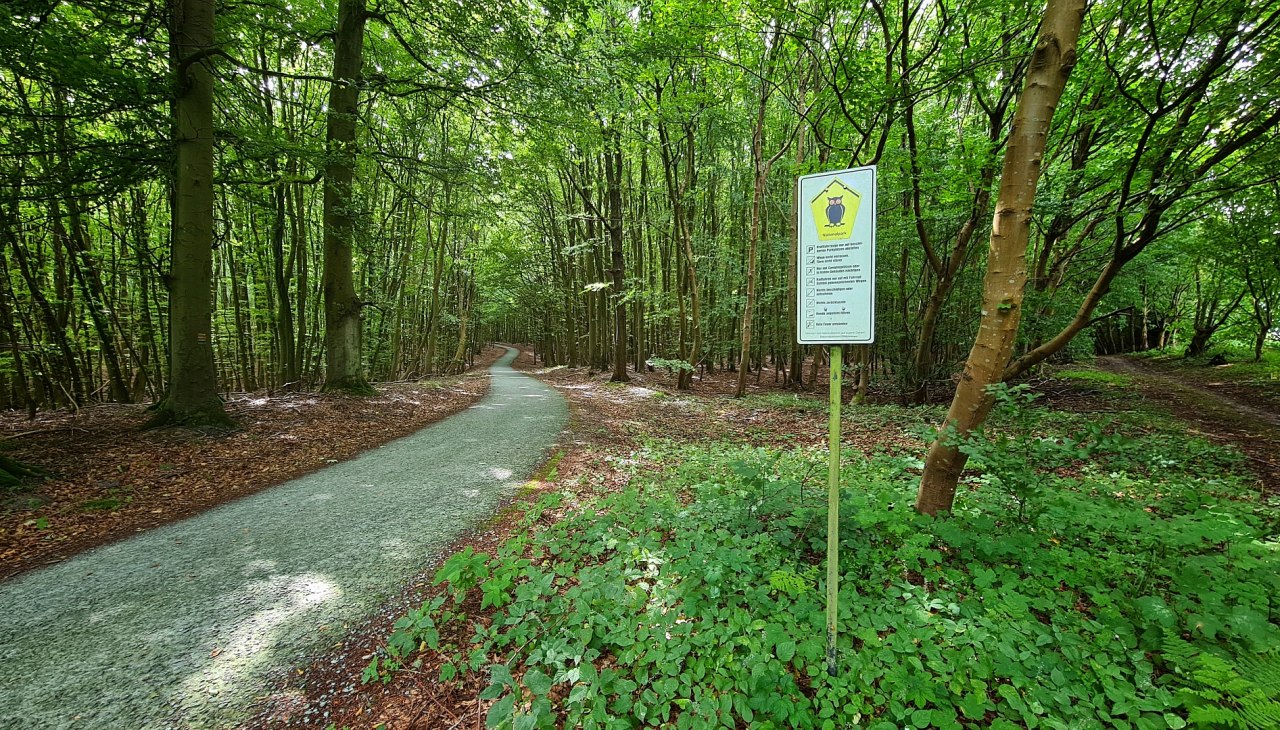 Die Stubnitz, &copy; Landesforst MV