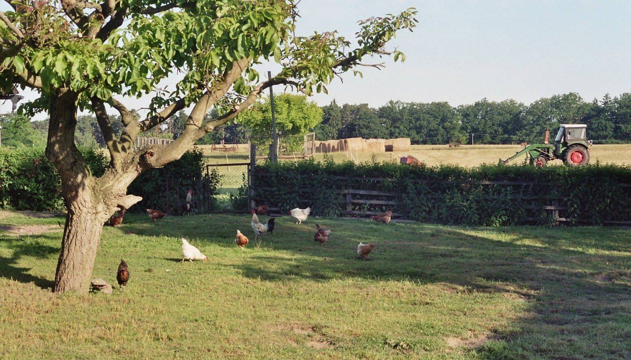 Bauernhof - noch ganz wie zu Omas Zeiten, &copy; Bernd Friedrich