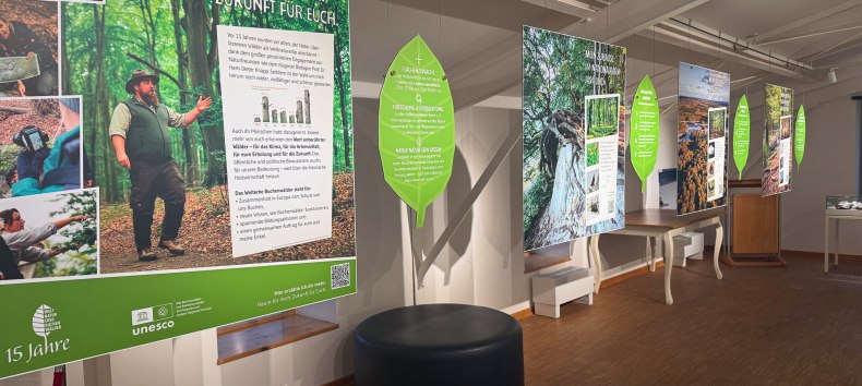 &copy; Nationalpark-Zentrum K&Ouml;NIGSSTUHL