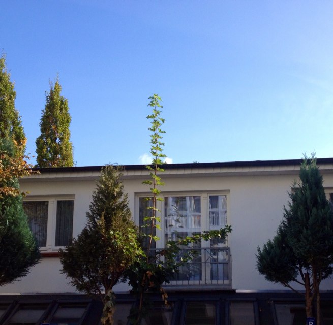 Ansicht Gästehaus Astrids Strandmuschel, © Bernhard Franke Ansicht Gästehaus Astrids Strandmuschel, © Bernhard Franke