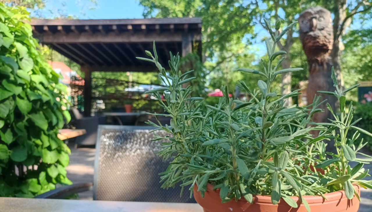 Terrasse, © Schlösschen Sundische Wiese Terrasse, © Schlösschen Sundische Wiese