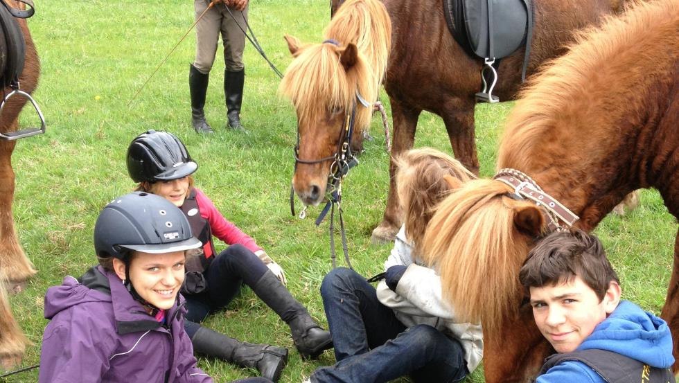 De IJslandse paardenboerderij Fischland nodigt iedereen uit om te leren paardrijden // &copy; Islandpferdehof Fischland/ Olaf Fretwurst