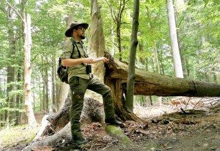 Rangerf&uuml;hrung mit einem Ranger im Naturschutzgebiet Granitz, &copy; Biosph&auml;renreservat S&uuml;dost-R&uuml;gen