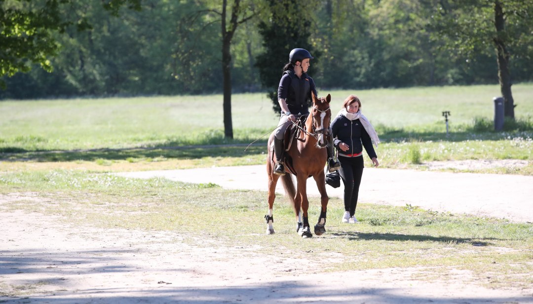 Zum Reitenlernen ist es nie zu spät, © TMV/Pantel Zum Reitenlernen ist es nie zu spät, © TMV/Pantel