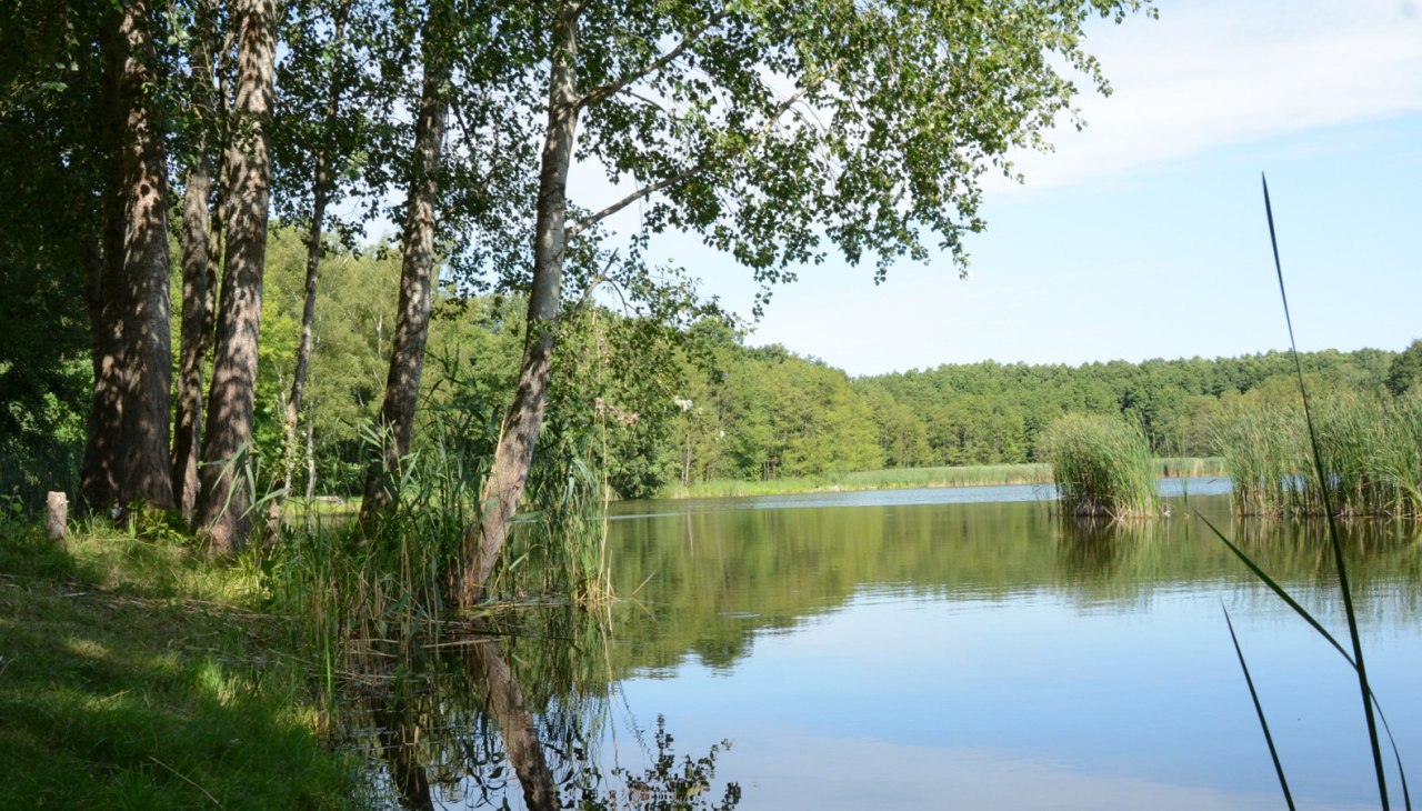 Karpfenteiche bei Voigtsdorf, &copy; Tourismusverband Mecklenburg-Schwerin