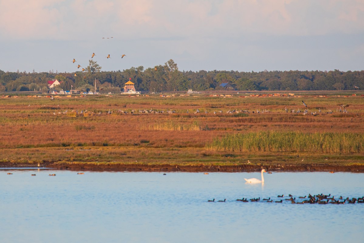 © Weiße Flotte GmbH © Weiße Flotte GmbH