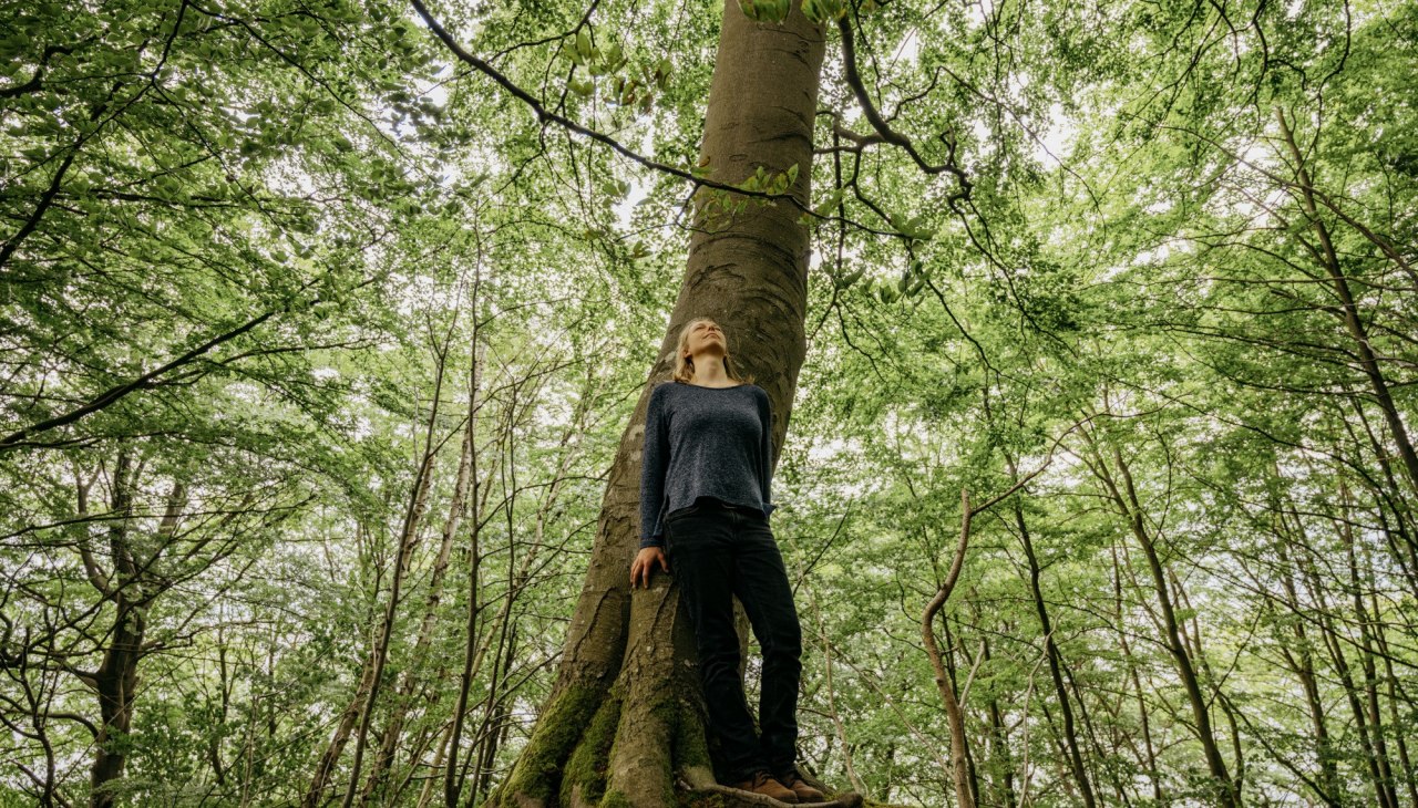 Wanderung: Die Heilkraft des Küstenwaldes, © Binzer Bucht Tourismus Wanderung: Die Heilkraft des Küstenwaldes, © Binzer Bucht Tourismus