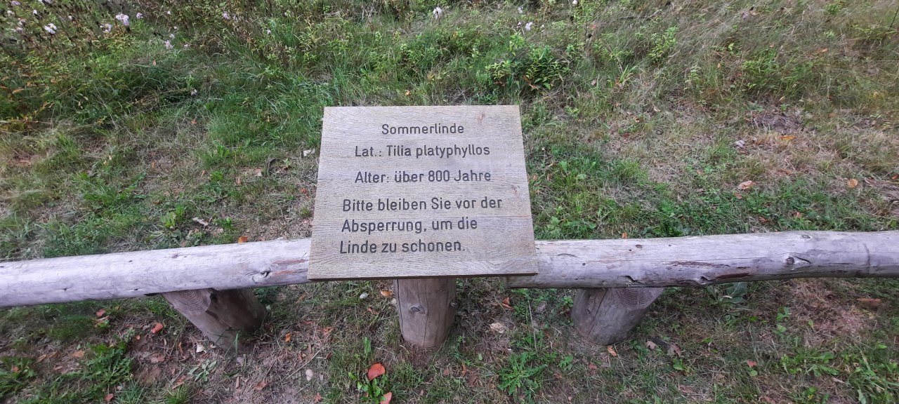 © Waren (Müritz)-Information © Waren (Müritz)-Information