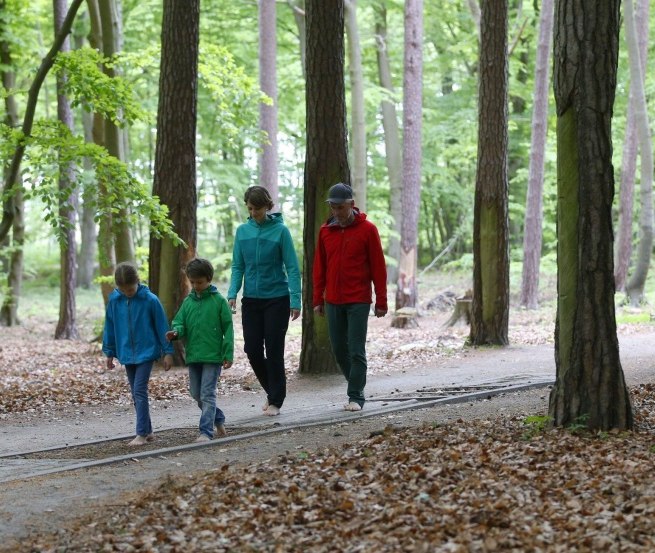 Ohne Schuhe geht's auf dem Barfu&szlig;pfad &uuml;ber verschiedene Naturmaterialien wie Holz, Steine und Tannenzapfen. // &copy; MV-T/outdoor-visions.com