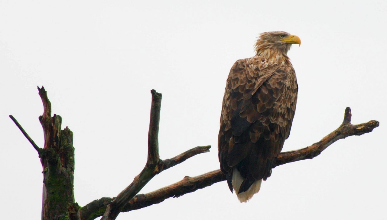 Wanderung " Eine Stadt am Fluss", &copy; AFL
