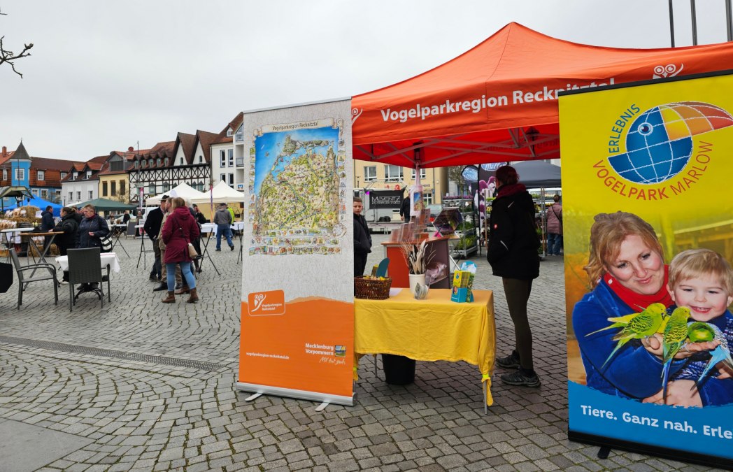 Regionalmarkt der Vogelparkregion Recknitztal, &copy; Sabine Maus
