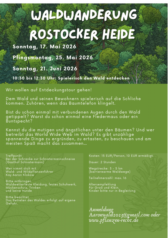 Flyer // © K.Klokow Flyer // © K.Klokow
