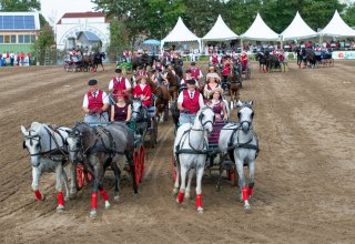 2-Spänner-Quadrille, © Gestüt Ganschow 2-Spänner-Quadrille, © Gestüt Ganschow