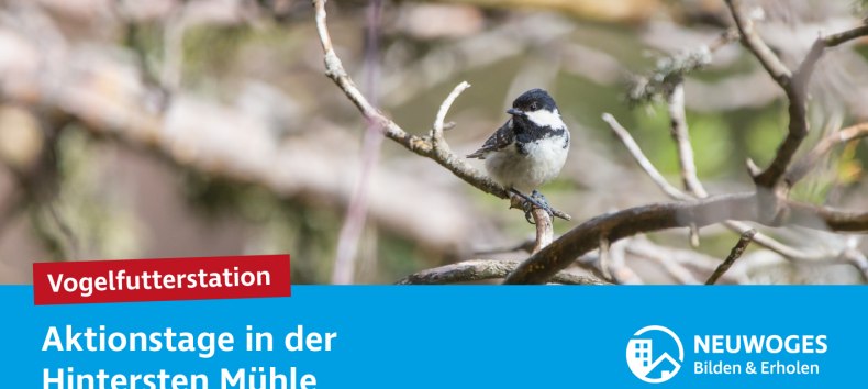 &copy; Neuwoges