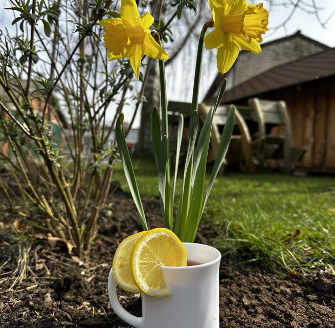 Pfingsten bei den Bernsteinreitern // &copy; de