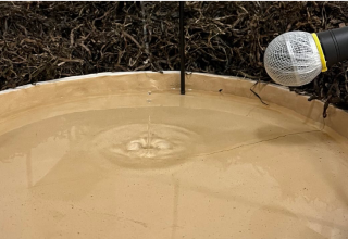 &copy; Jugendkunstschule Vorpommern-R&uuml;gen e.V.