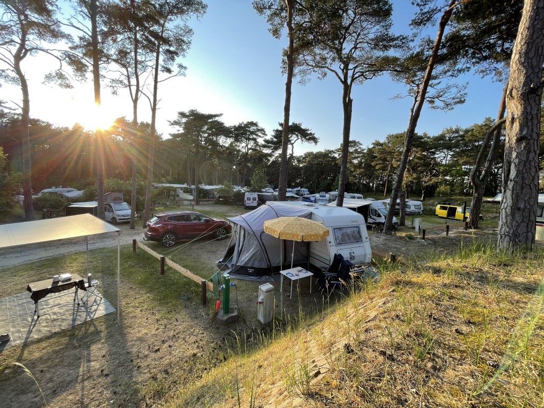 Kampeerplaatsen op de camping // &copy; KV Trassenheide